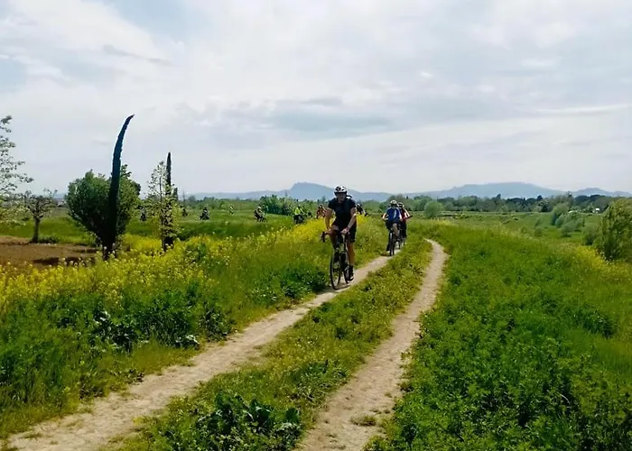 Borgonuovo ريميني